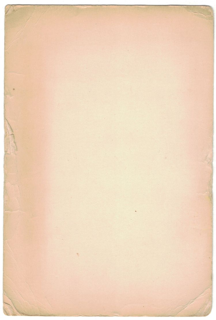 Picture of a weathered, blank book page.